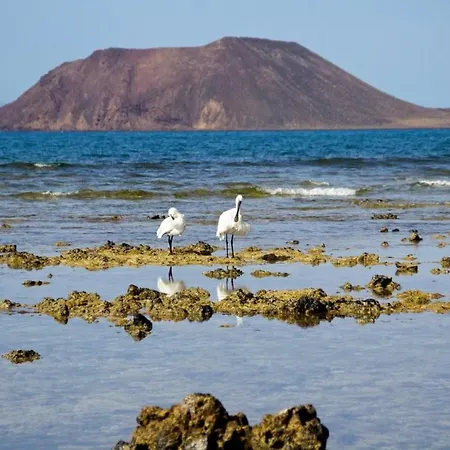 Remos Ocho * Corralejo